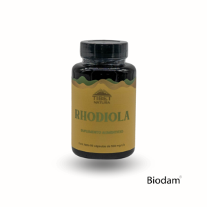 rhodiola