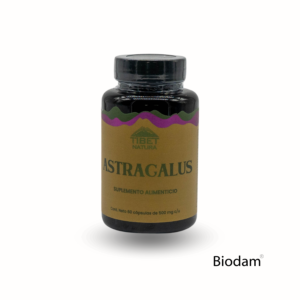 astragalus