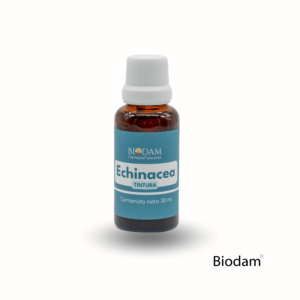 echinacea
