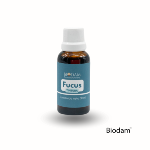 fucus