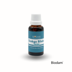 ginkgo-biloba