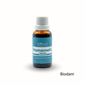 hamamelis