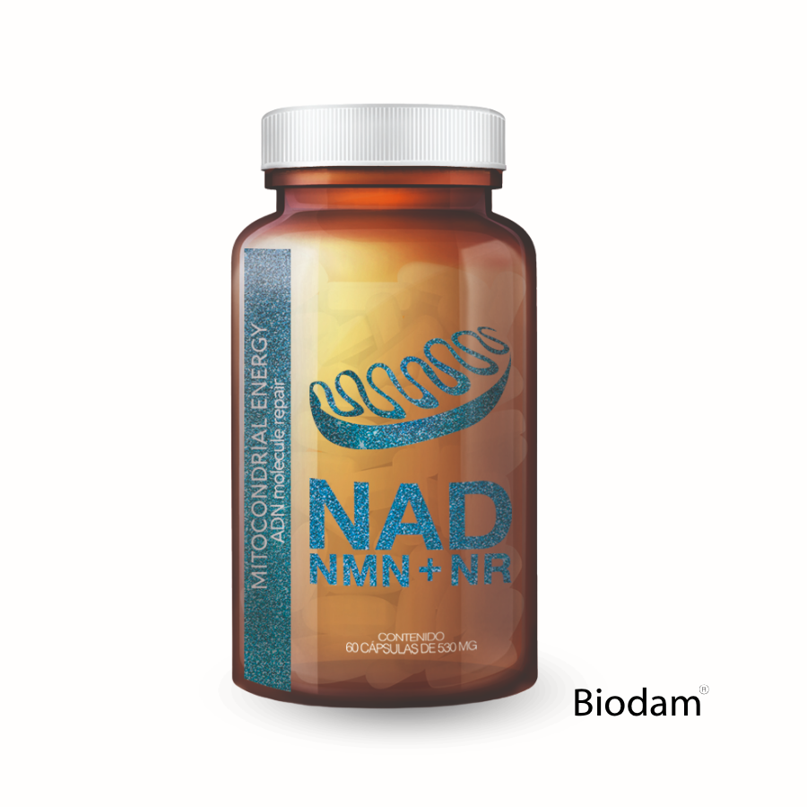 NAD NMN + NR